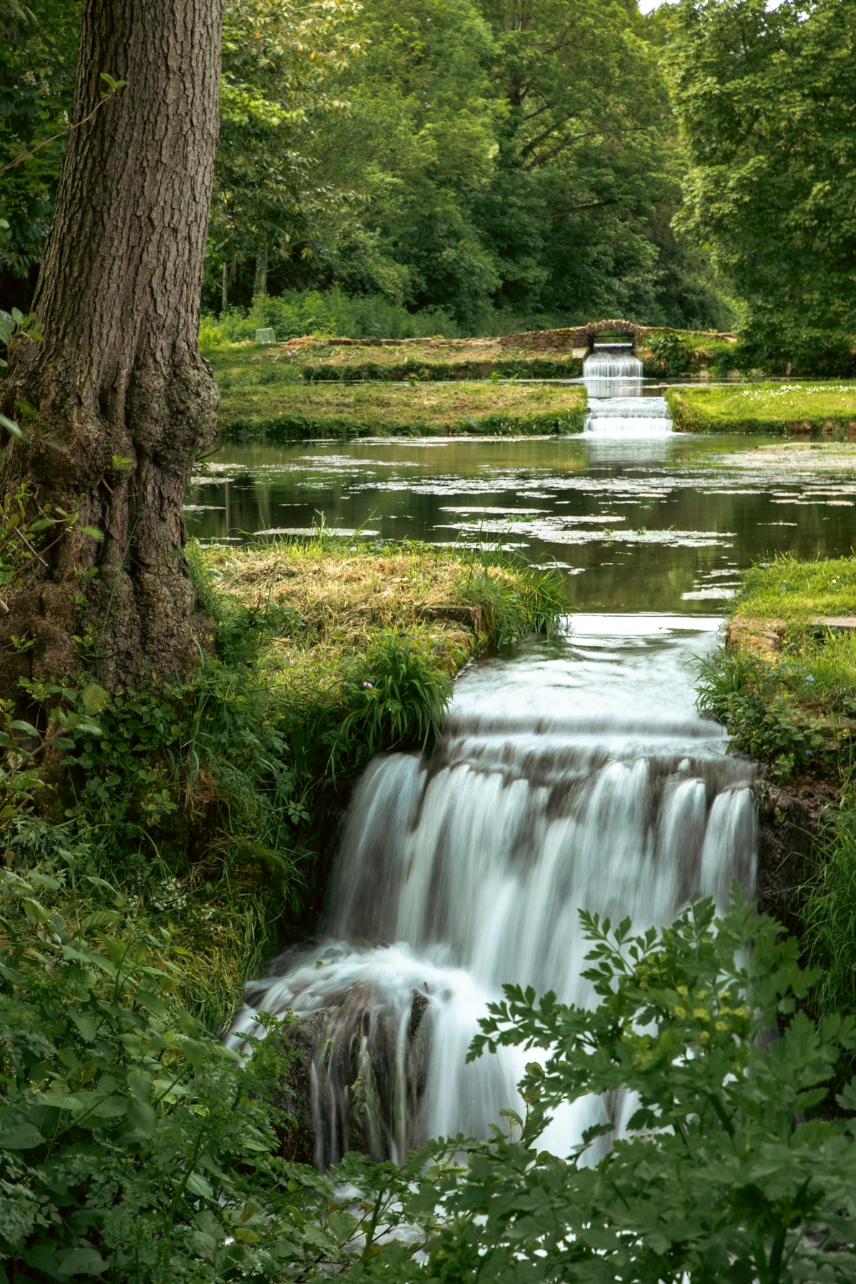 A waterfall on a river in the countryside
